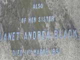 image of grave number 163981